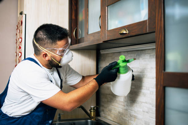 Best Best Pest Control Companies  in Fountain, CO