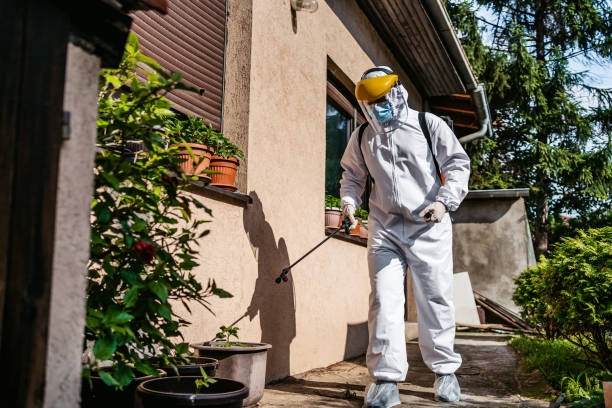 Reliable Fountain, CO Pest Control Solutions