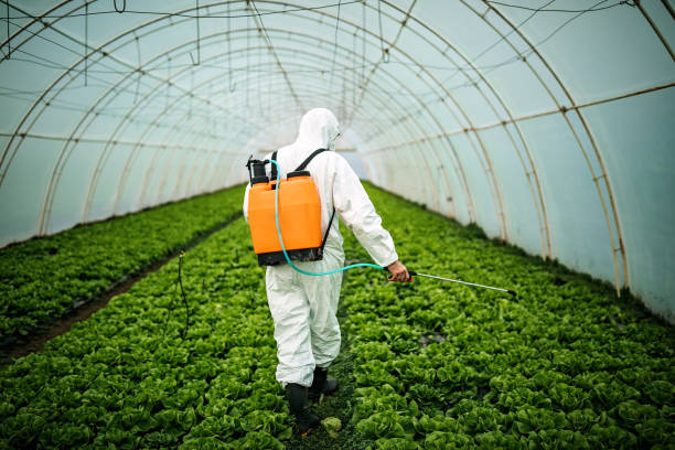 Best Residential Pest Control  in Fountain, CO