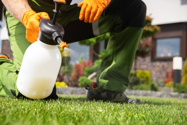 Best Cockroach Control Services  in Fountain, CO