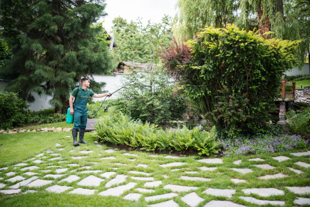 Best Affordable Exterminators  in Fountain, CO