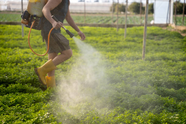 Pest Control for Restaurants in Fountain, CO