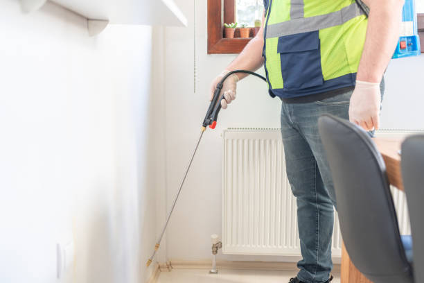 Best Termite Control Services  in Fountain, CO