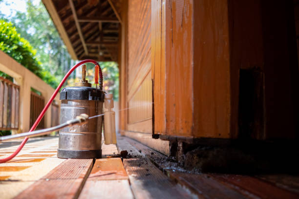 Pest Control Cost in Fountain, CO