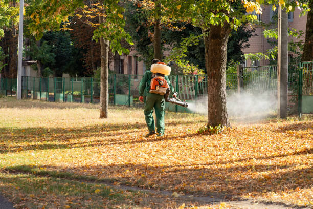 Best Exterminator Services  in Fountain, CO