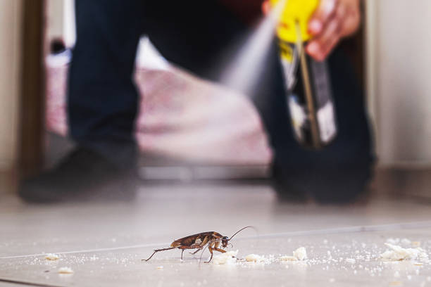 Best Pest Control Cost  in Fountain, CO