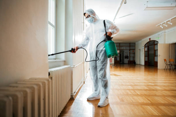 Best Flea Control Services  in Fountain, CO