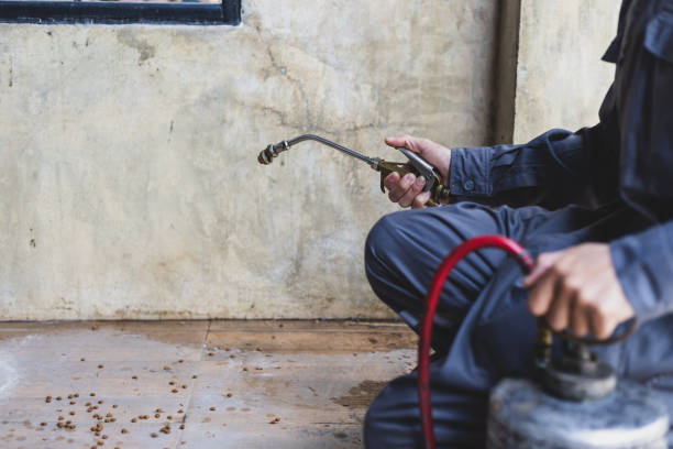 Best Exterminator Services  in Fountain, CO